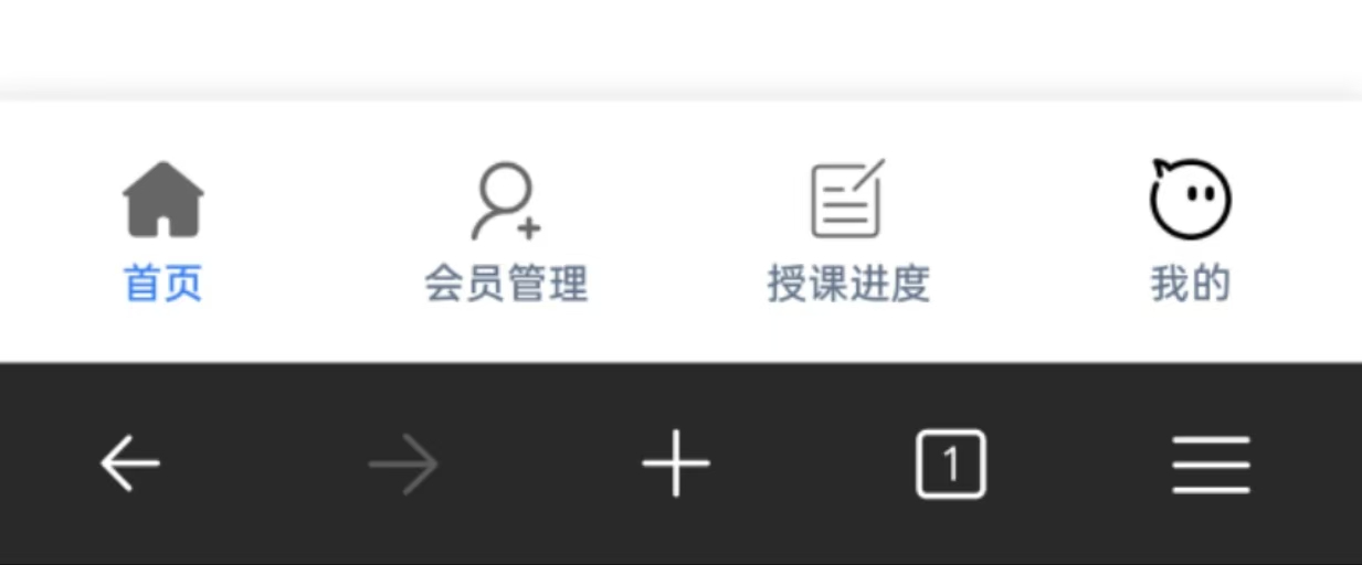 手机浏览器效果